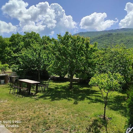 Aleks Vila Ohrid Exterior foto