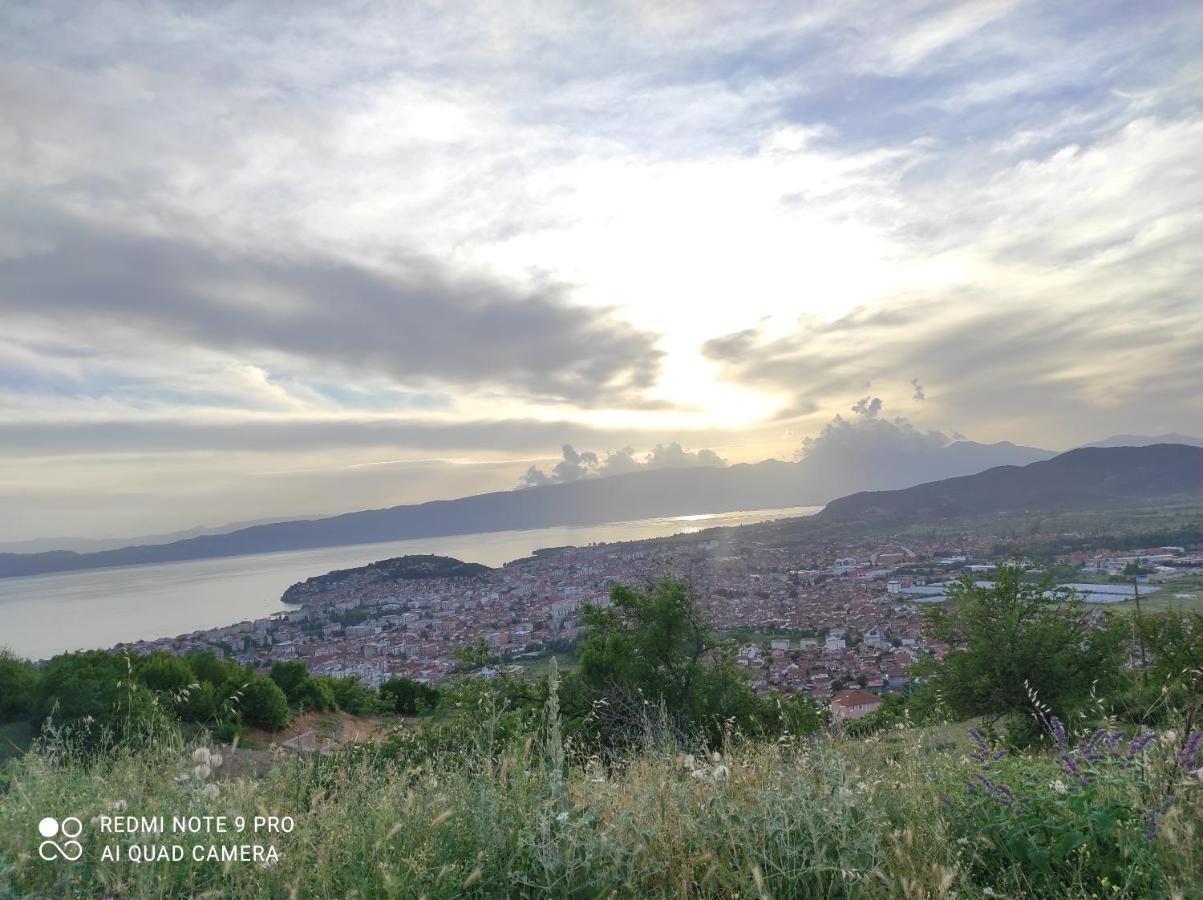 Aleks Vila Ohrid Exterior foto